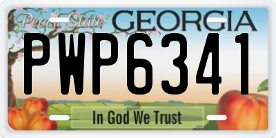 GA license plate PWP6341