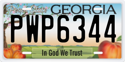 GA license plate PWP6344