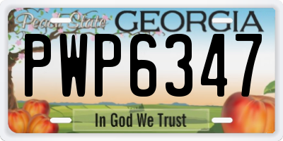 GA license plate PWP6347