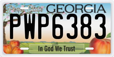 GA license plate PWP6383