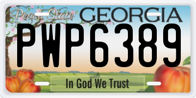 GA license plate PWP6389