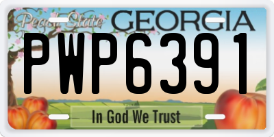 GA license plate PWP6391