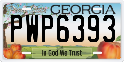 GA license plate PWP6393