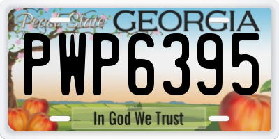 GA license plate PWP6395