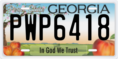 GA license plate PWP6418