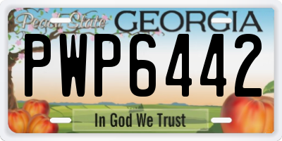 GA license plate PWP6442