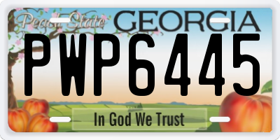 GA license plate PWP6445