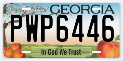 GA license plate PWP6446
