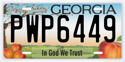 GA license plate PWP6449