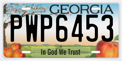 GA license plate PWP6453