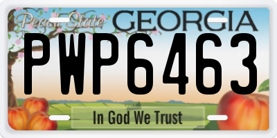 GA license plate PWP6463