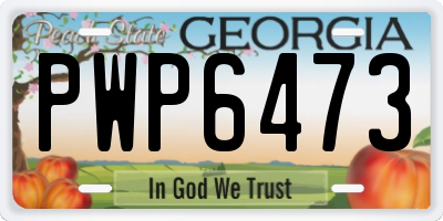 GA license plate PWP6473
