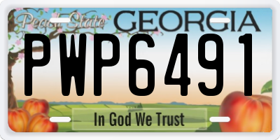 GA license plate PWP6491