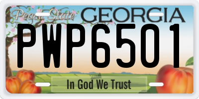 GA license plate PWP6501