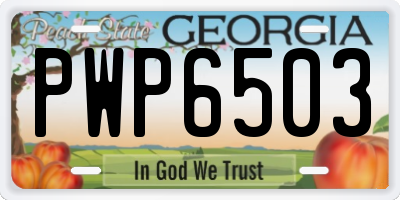 GA license plate PWP6503