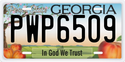 GA license plate PWP6509