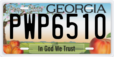 GA license plate PWP6510