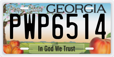 GA license plate PWP6514