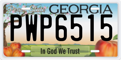 GA license plate PWP6515