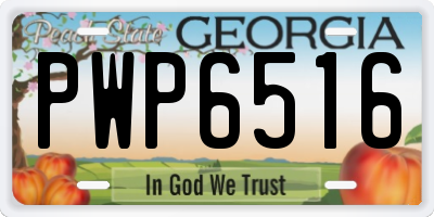 GA license plate PWP6516