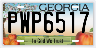 GA license plate PWP6517