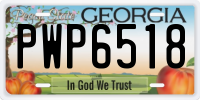 GA license plate PWP6518
