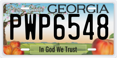 GA license plate PWP6548