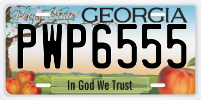 GA license plate PWP6555