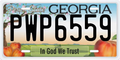 GA license plate PWP6559