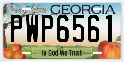 GA license plate PWP6561