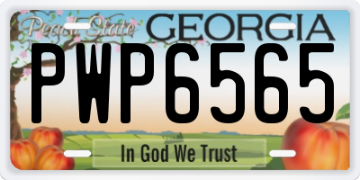 GA license plate PWP6565