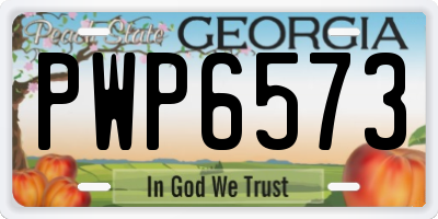GA license plate PWP6573