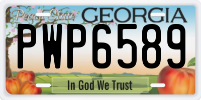GA license plate PWP6589