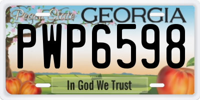 GA license plate PWP6598