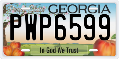 GA license plate PWP6599