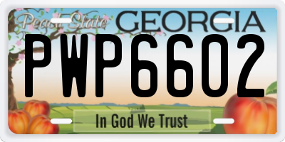 GA license plate PWP6602
