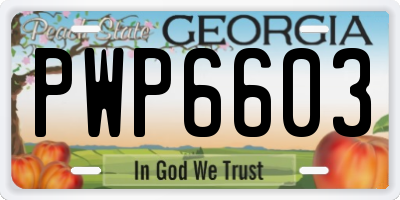 GA license plate PWP6603