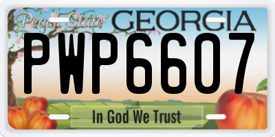 GA license plate PWP6607