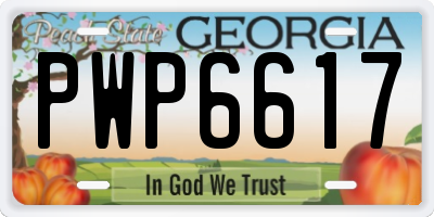 GA license plate PWP6617