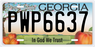 GA license plate PWP6637