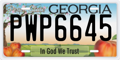 GA license plate PWP6645