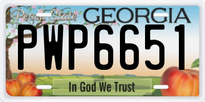 GA license plate PWP6651
