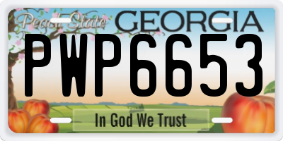 GA license plate PWP6653