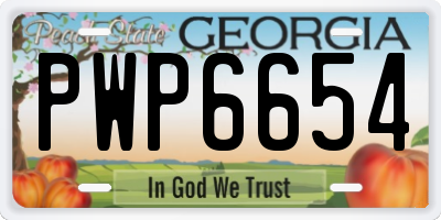GA license plate PWP6654