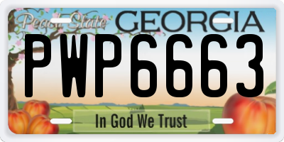 GA license plate PWP6663