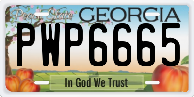 GA license plate PWP6665