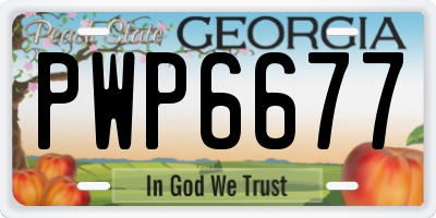 GA license plate PWP6677