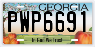 GA license plate PWP6691