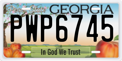 GA license plate PWP6745
