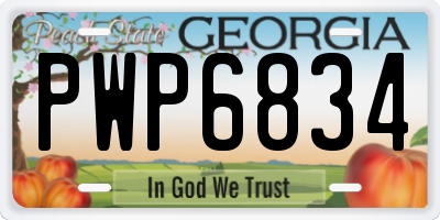 GA license plate PWP6834